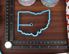 Ohio State Cookie Cutters - Buckeye Fruit, Ohio State Flag, Ohio State Outline, Pawpaw Fruit, Airplane - OH Gift Idea