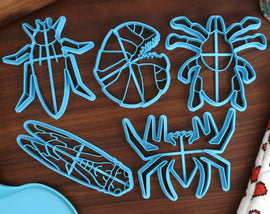 Insect Cookie Cutters - Big Roach, Creepy Spider, Noisy Cicada, Roly Poly, Tiny Tick - Creepy Crawlies Cookies - Springtime Gifts